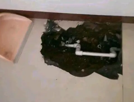 清河卫生间测漏水多少钱